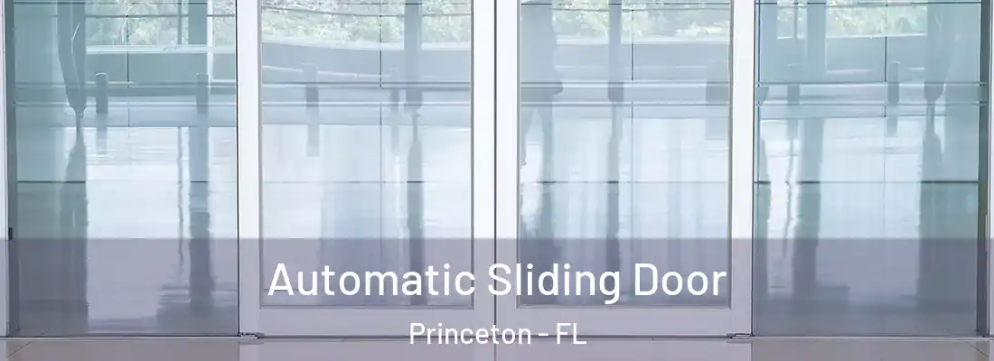  Automatic Sliding Door Princeton - FL