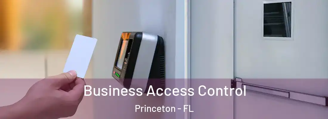 Business Access Control Princeton - FL