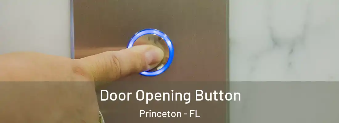  Door Opening Button Princeton - FL