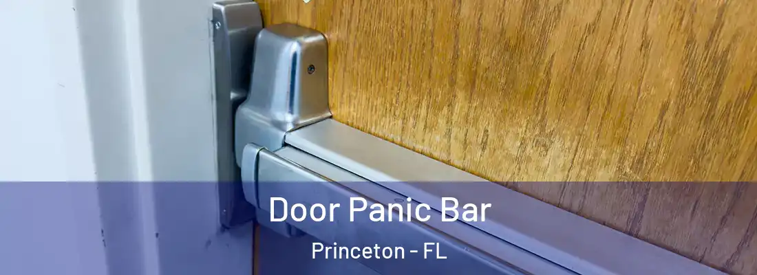  Door Panic Bar Princeton - FL
