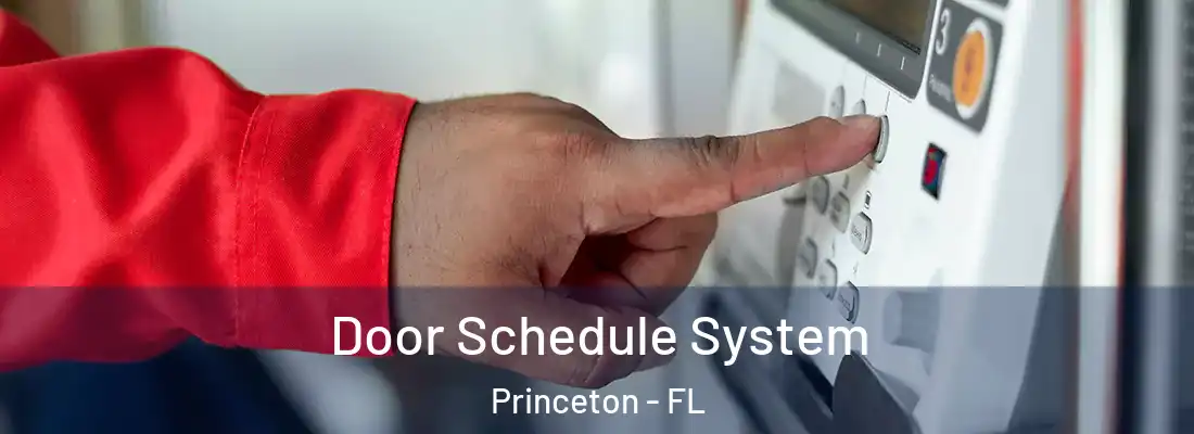  Door Schedule System Princeton - FL