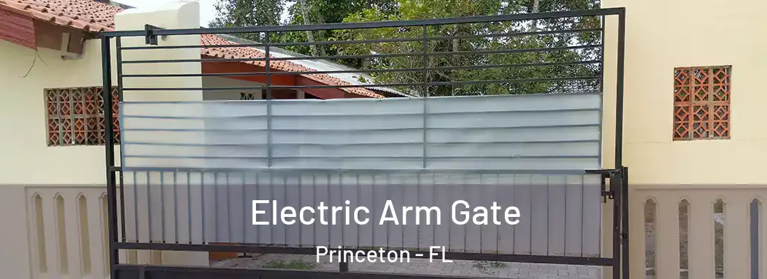  Electric Arm Gate Princeton - FL