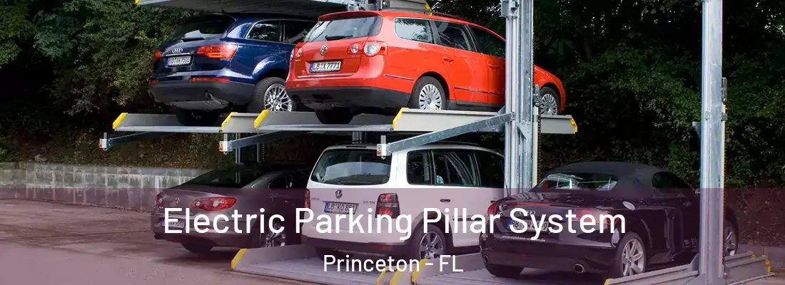  Electric Parking Pillar System Princeton - FL