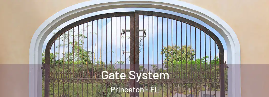  Gate System Princeton - FL
