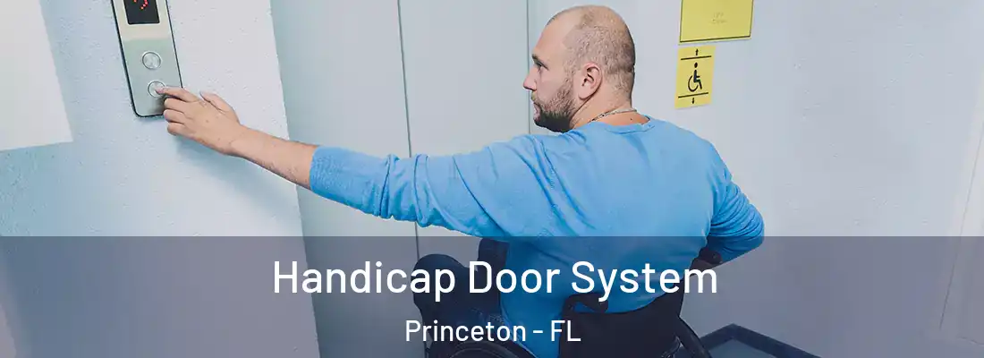  Handicap Door System Princeton - FL