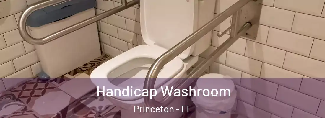  Handicap Washroom Princeton - FL