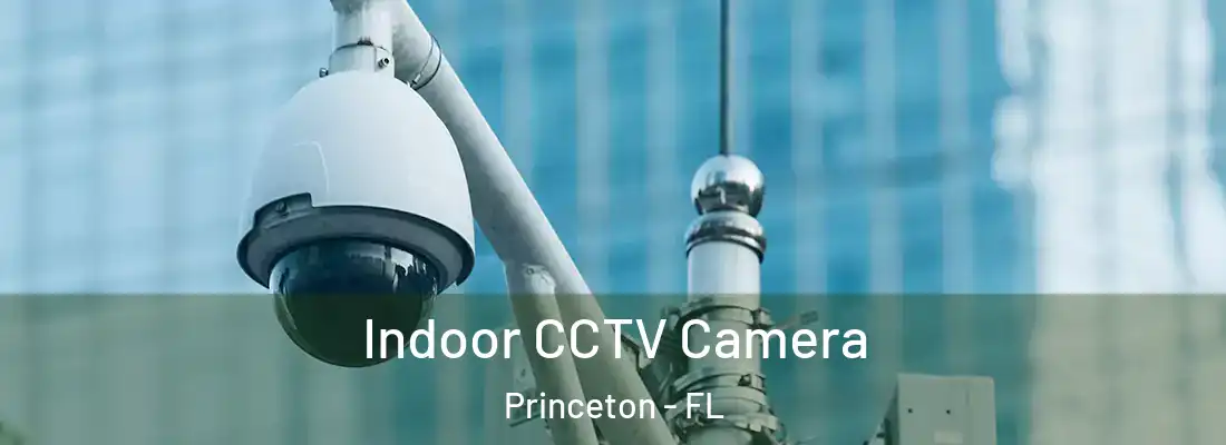  Indoor CCTV Camera Princeton - FL