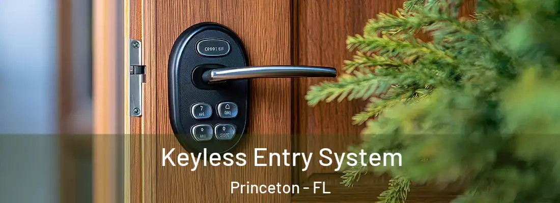  Keyless Entry System Princeton - FL