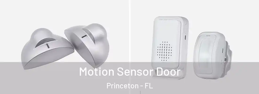  Motion Sensor Door Princeton - FL