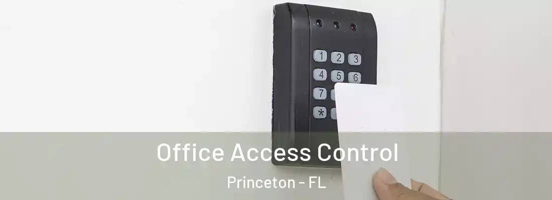  Office Access Control Princeton - FL