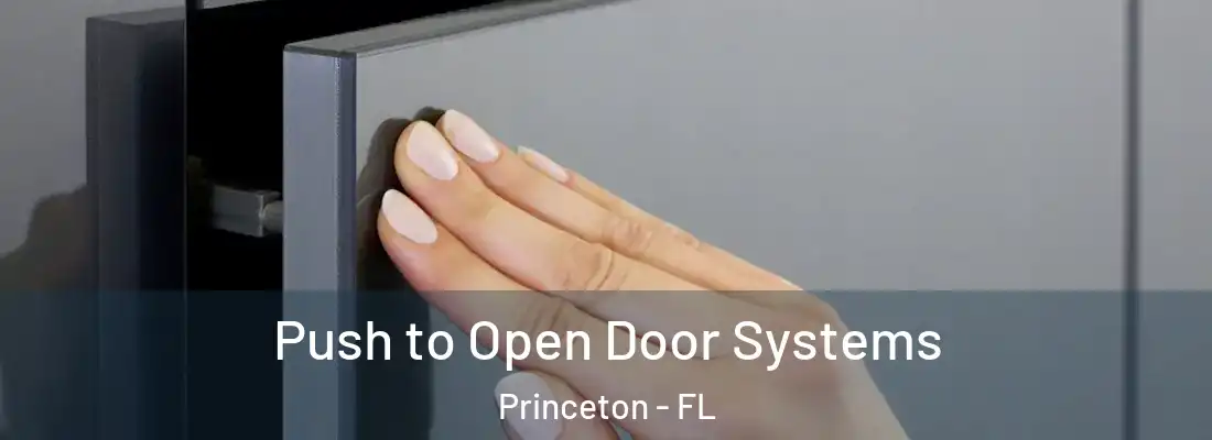  Push to Open Door Systems Princeton - FL
