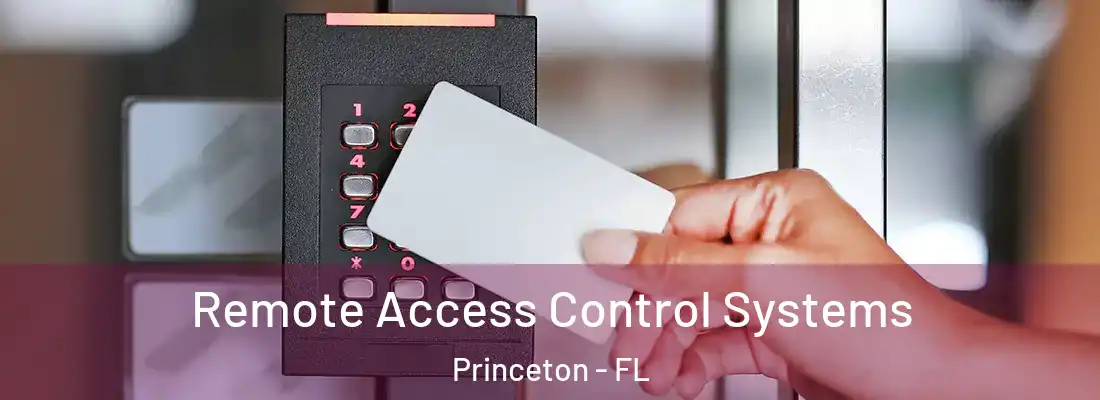  Remote Access Control Systems Princeton - FL
