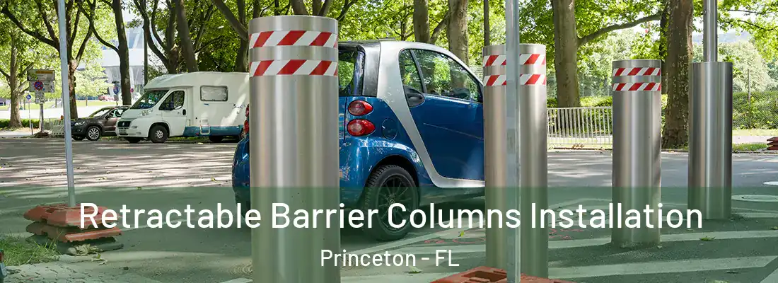 Retractable Barrier Columns Installation Princeton - FL
