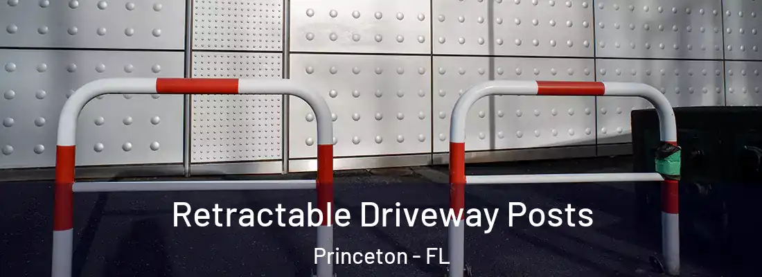  Retractable Driveway Posts Princeton - FL