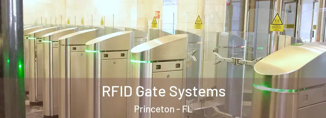  RFID Gate Systems Princeton - FL
