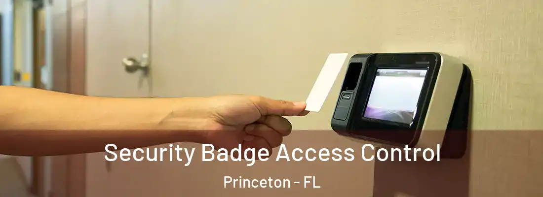  Security Badge Access Control Princeton - FL
