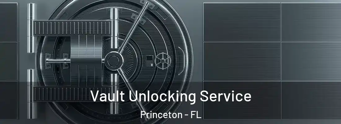  Vault Unlocking Service Princeton - FL